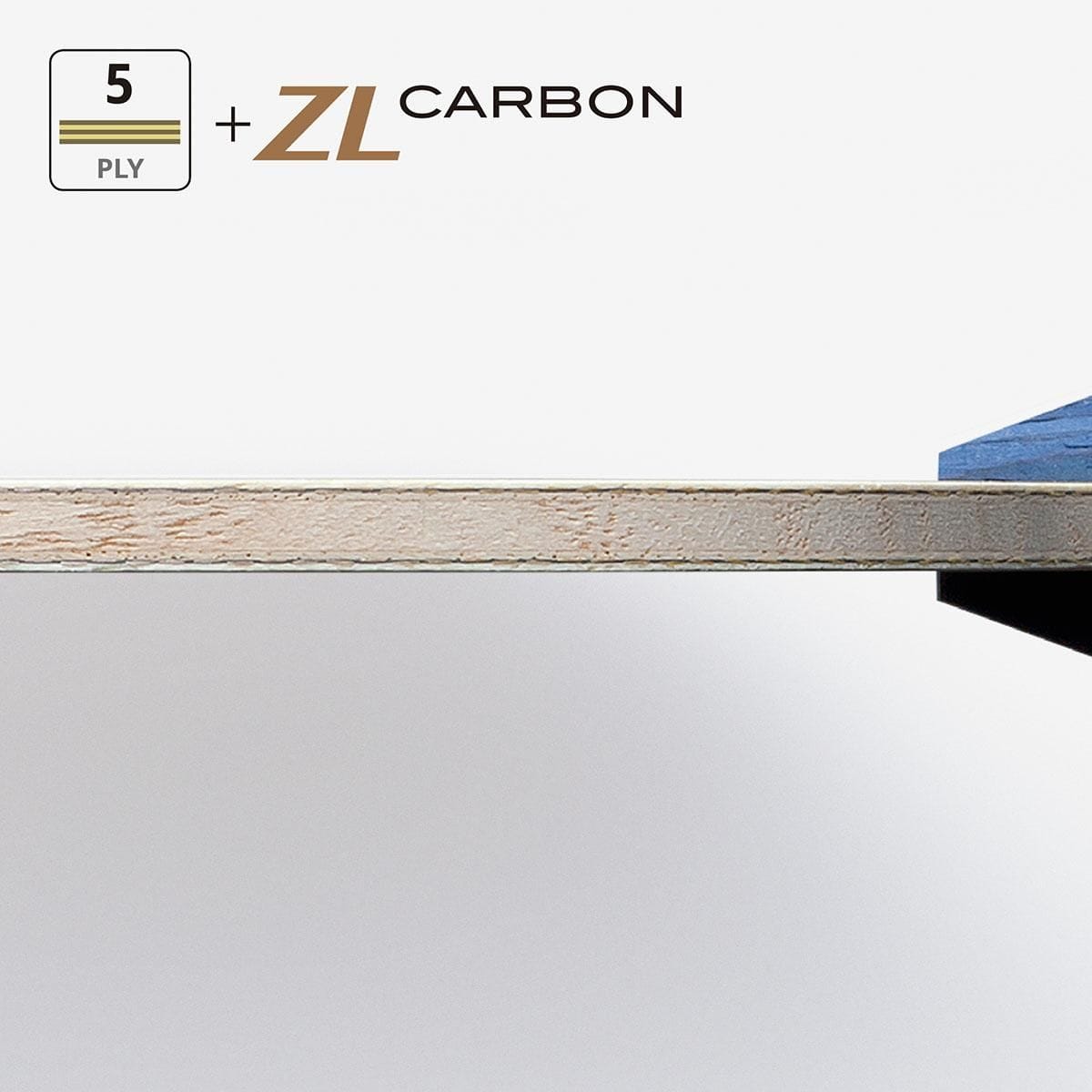 Butterfly Timo Boll ZLC