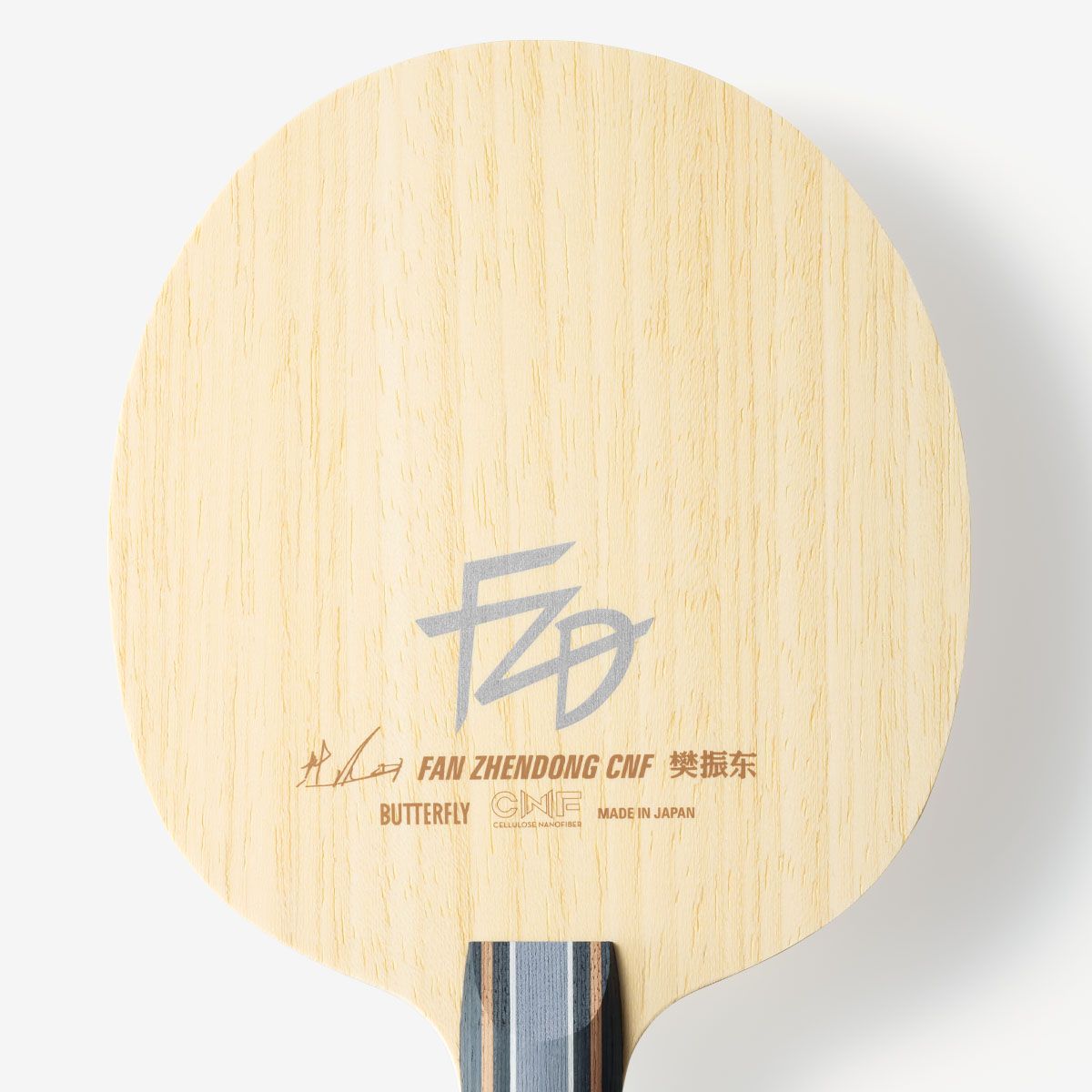 Butterfly Fan Zhendong CNF