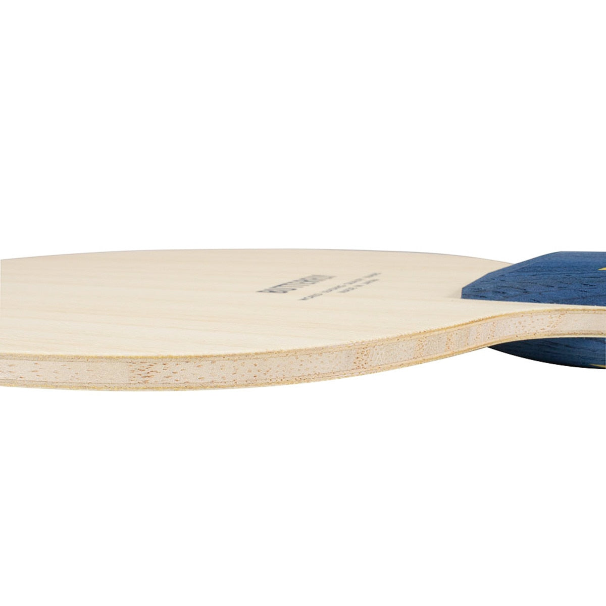 Butterfly Timo Boll ZLF