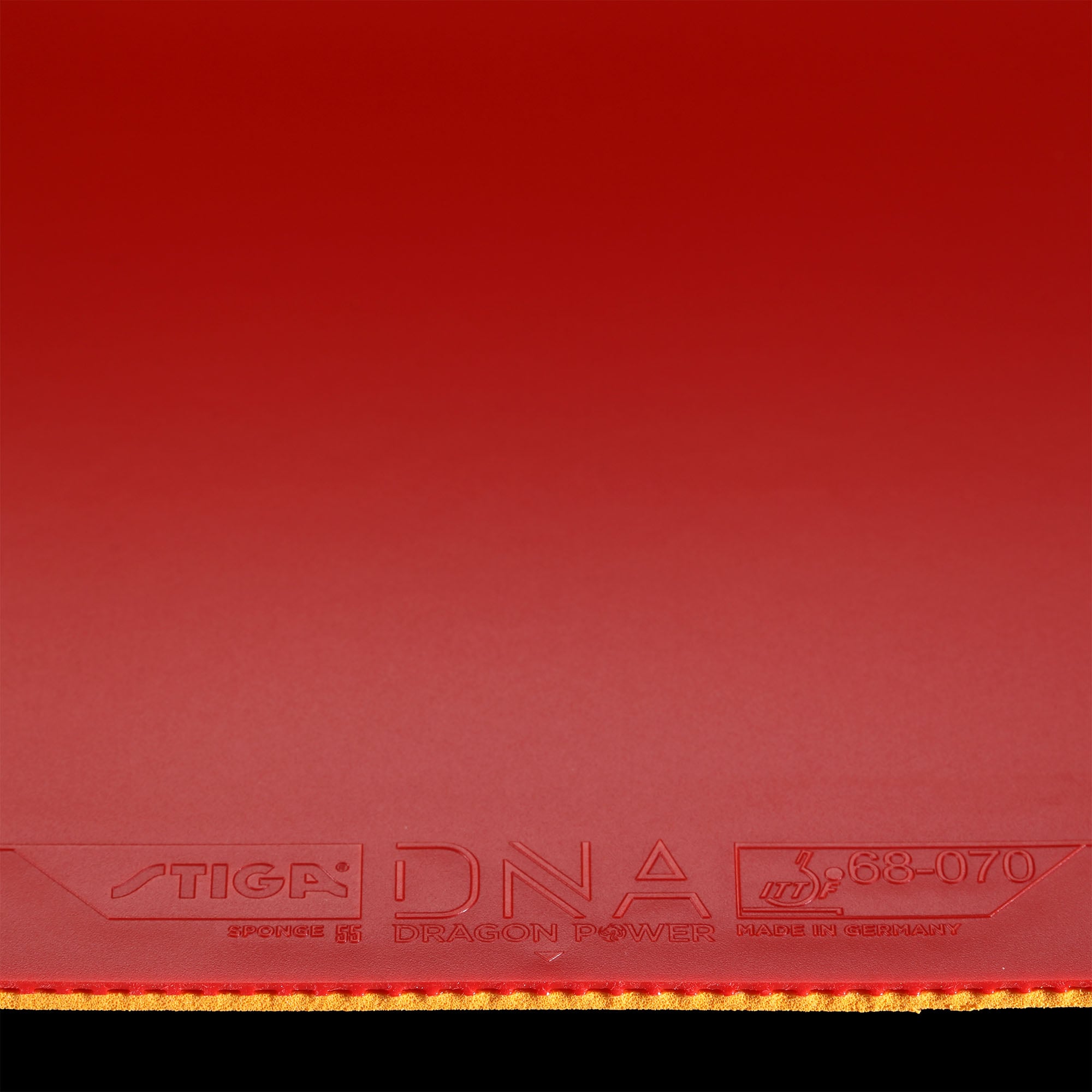 Stiga DNA Dragon Power 55