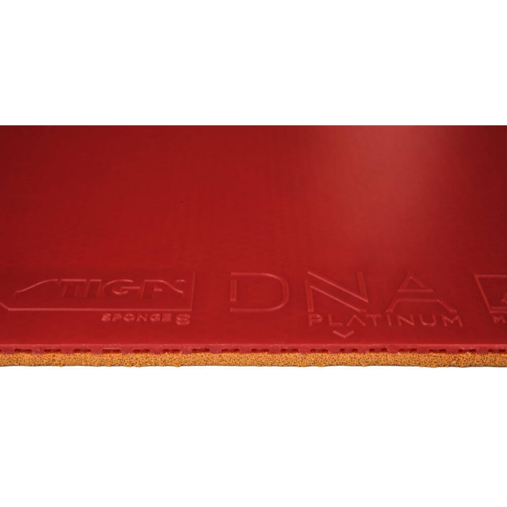 Stiga DNA Platinum S