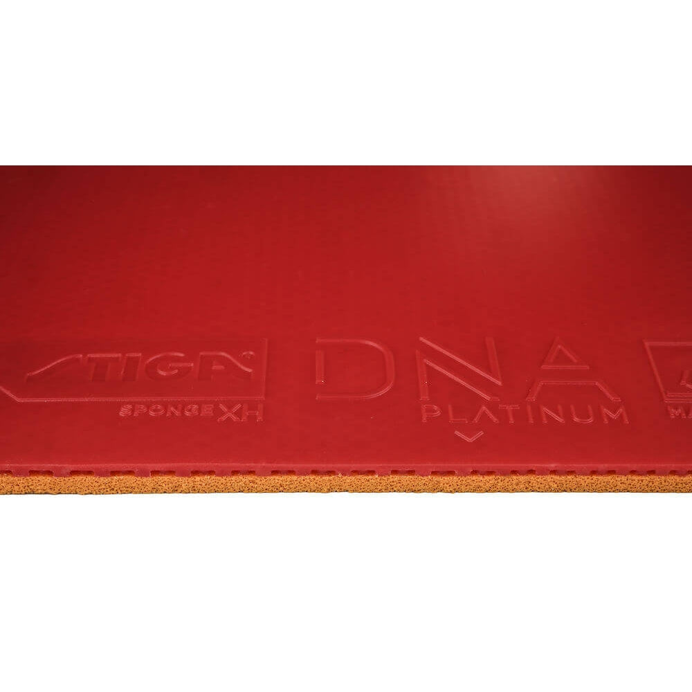 Stiga DNA Platinum XH